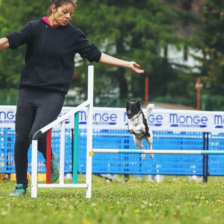Gioia Baccega, addestratore cinofilo da 15 anni, si dedica all’agility a livello agonistico